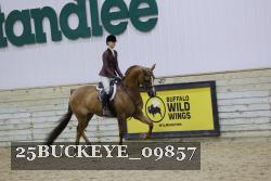 25BUCKEYE_09857 thumbnail