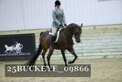 25BUCKEYE_09866 thumbnail