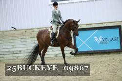 25BUCKEYE_09867 thumbnail