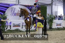 25BUCKEYE_09879 thumbnail