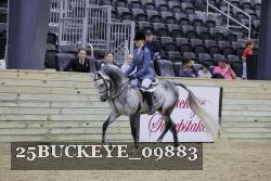 25BUCKEYE_09883 thumbnail