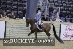 25BUCKEYE_09888 thumbnail