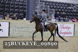 25BUCKEYE_09890 thumbnail