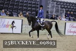 25BUCKEYE_09893 thumbnail