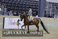 25BUCKEYE_09895 thumbnail