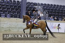 25BUCKEYE_09899 thumbnail