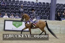25BUCKEYE_09900 thumbnail