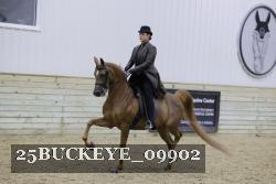 25BUCKEYE_09902 thumbnail