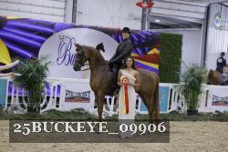 25BUCKEYE_09906 thumbnail