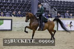 25BUCKEYE_09909 thumbnail
