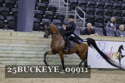 25BUCKEYE_09911 thumbnail