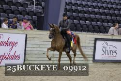 25BUCKEYE_09912 thumbnail