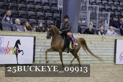 25BUCKEYE_09913 thumbnail