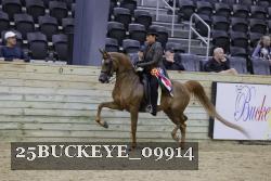 25BUCKEYE_09914 thumbnail