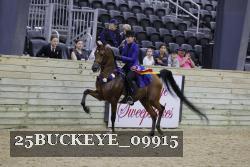 25BUCKEYE_09915 thumbnail