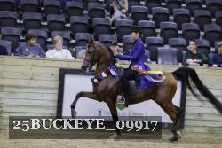 25BUCKEYE_09917 thumbnail