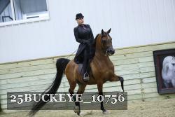25BUCKEYE_10756 thumbnail