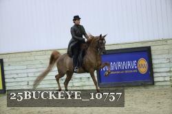 25BUCKEYE_10757 thumbnail