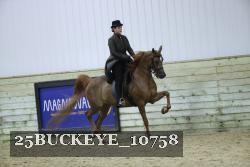 25BUCKEYE_10758 thumbnail