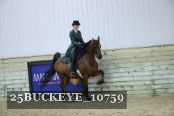 25BUCKEYE_10759 thumbnail