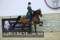 25BUCKEYE_10760 thumbnail