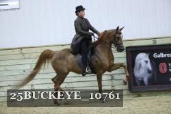 25BUCKEYE_10761 thumbnail