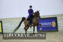25BUCKEYE_10762 thumbnail