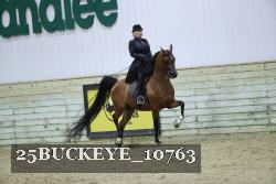 25BUCKEYE_10763 thumbnail