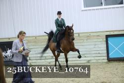 25BUCKEYE_10764 thumbnail