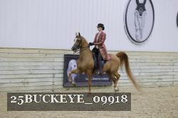 25BUCKEYE_09918 thumbnail