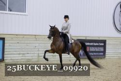25BUCKEYE_09920 thumbnail