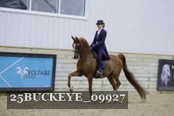 25BUCKEYE_09927 thumbnail