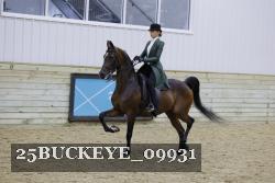 25BUCKEYE_09931 thumbnail