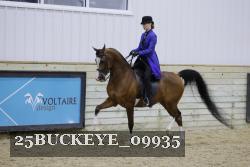 25BUCKEYE_09935 thumbnail