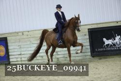 25BUCKEYE_09941 thumbnail