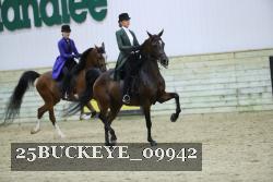 25BUCKEYE_09942 thumbnail