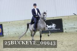 25BUCKEYE_09943 thumbnail