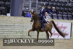 25BUCKEYE_09960 thumbnail