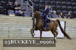 25BUCKEYE_09961 thumbnail