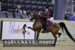 25BUCKEYE_09962 thumbnail