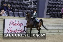 25BUCKEYE_09967 thumbnail