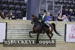 25BUCKEYE_09968 thumbnail