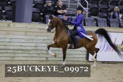 25BUCKEYE_09972 thumbnail