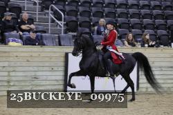 25BUCKEYE_09975 thumbnail