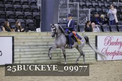 25BUCKEYE_09977 thumbnail