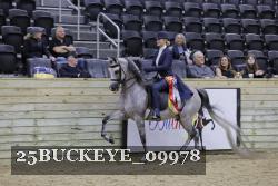 25BUCKEYE_09978 thumbnail