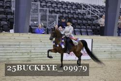 25BUCKEYE_09979 thumbnail