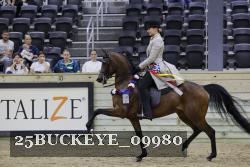 25BUCKEYE_09980 thumbnail