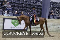 25BUCKEYE_10004 thumbnail
