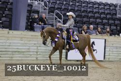25BUCKEYE_10012 thumbnail